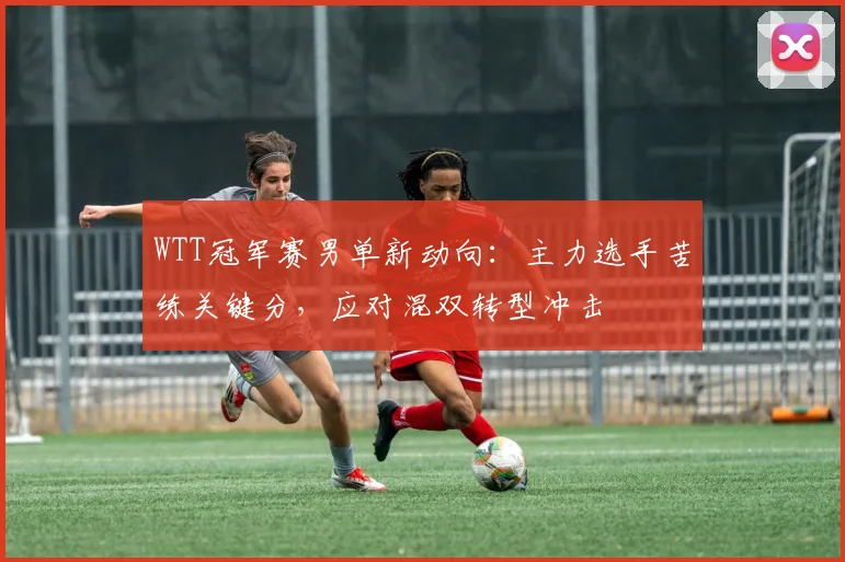 WTT冠军赛男单新动向：主力选手苦练关键分，应对混双转型冲击