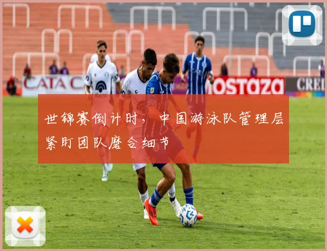 世锦赛倒计时，中国游泳队管理层紧盯团队磨合细节